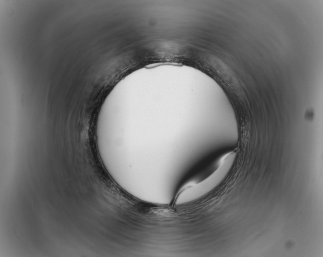 X0000097870221200804110932