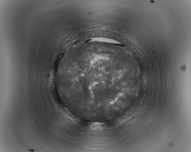 X0000097870222200804110932