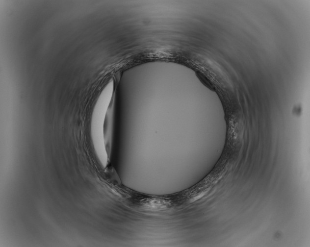 X0000097870223200804110932