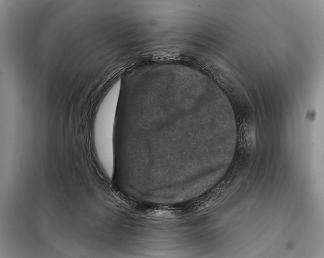 X0000097870224200804110932