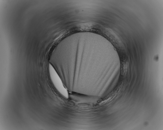 X0000097870228200804110932