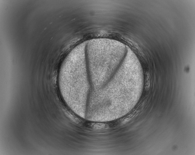 X0000097870230200804110932