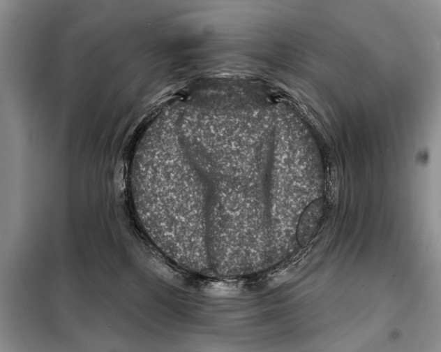 X0000097870232200804110932