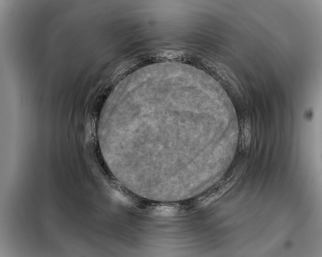 X0000097870236200804110932