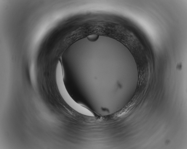 X0000097870239200804110932