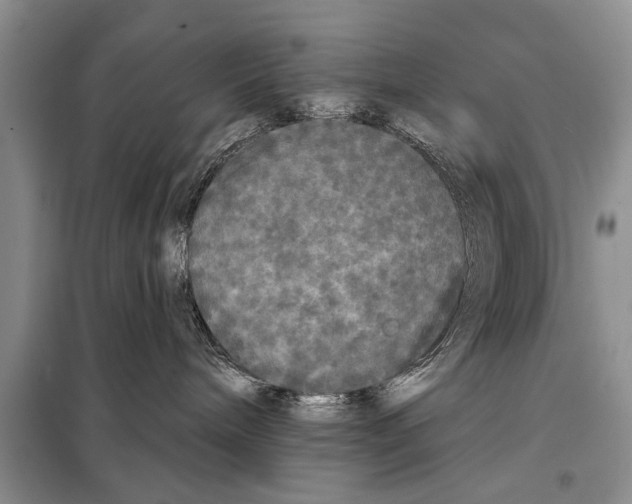 X0000097870240200804110932