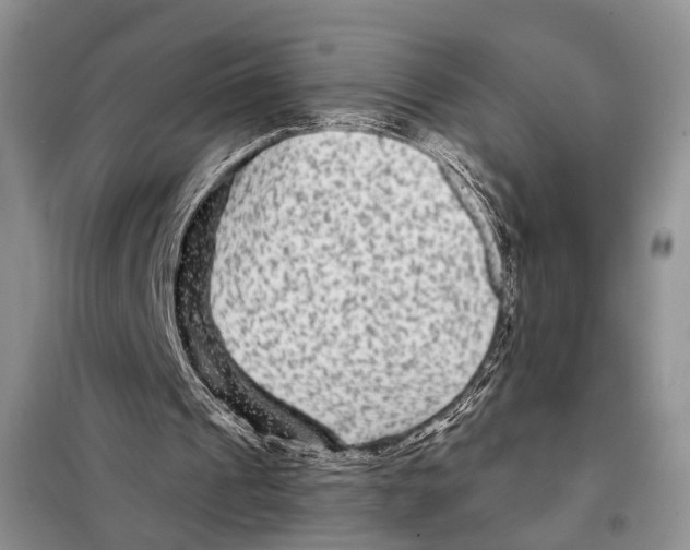 X0000097870241200804110931