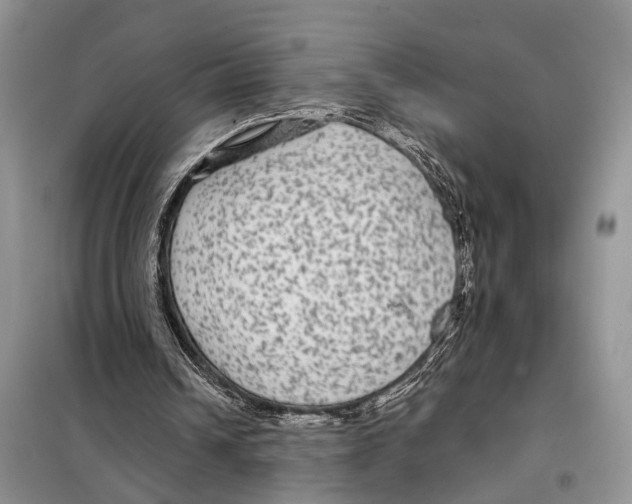 X0000097870242200804110931