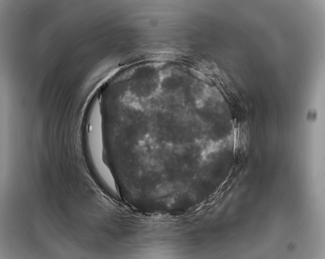 X0000097870243200804110931