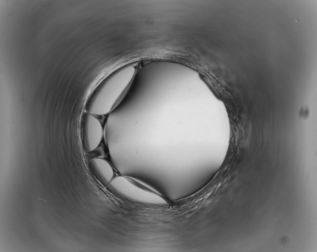 X0000097870244200804110931