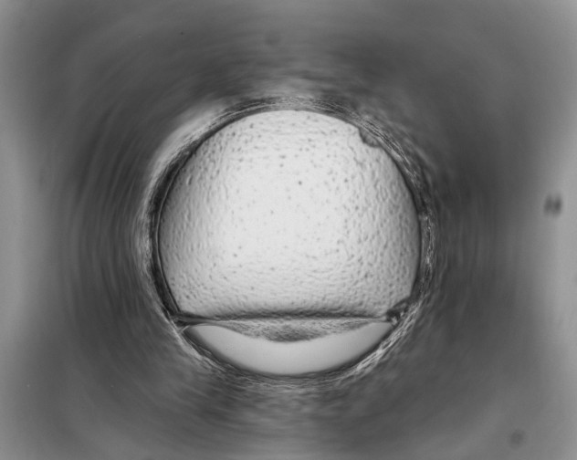 X0000097870245200804110931