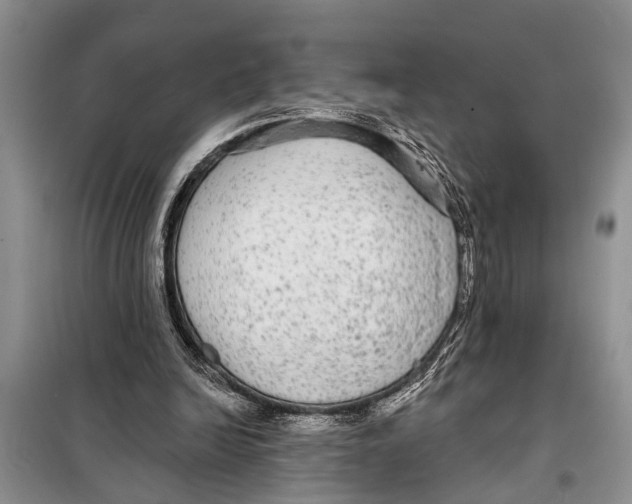 X0000097870246200804110931
