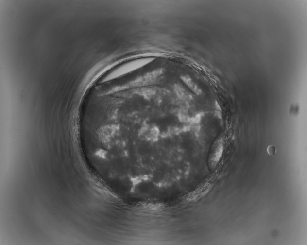 X0000097870247200804110931