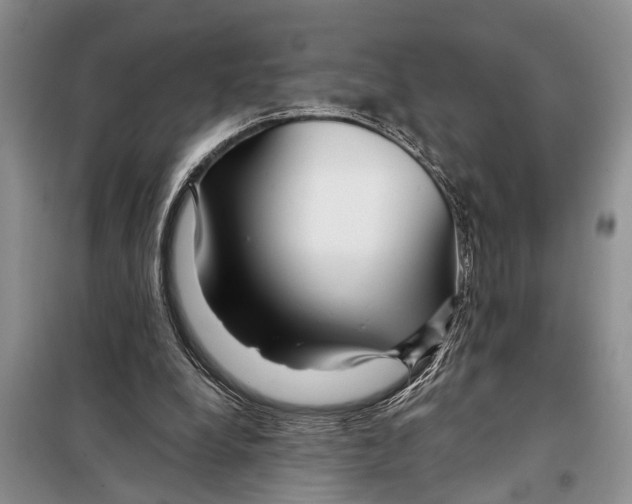 X0000097870248200804110931