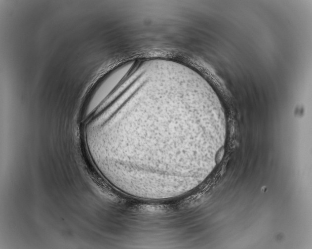 X0000097870250200804110931