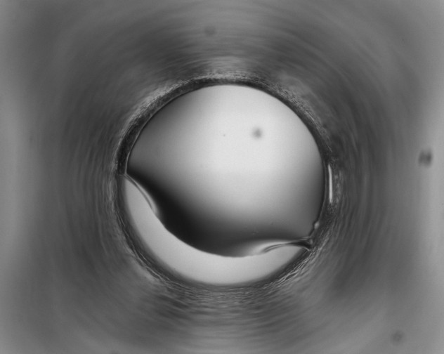 X0000097870252200804110931