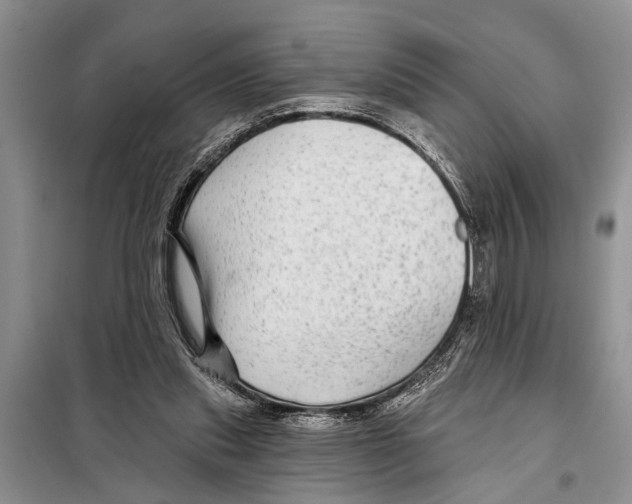 X0000097870253200804110931