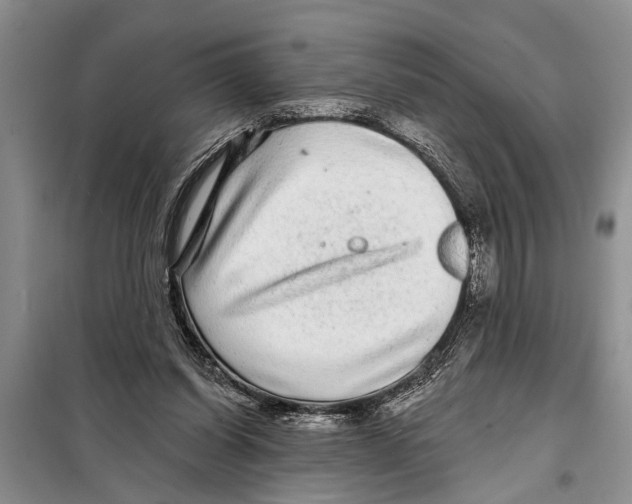 X0000097870254200804110931