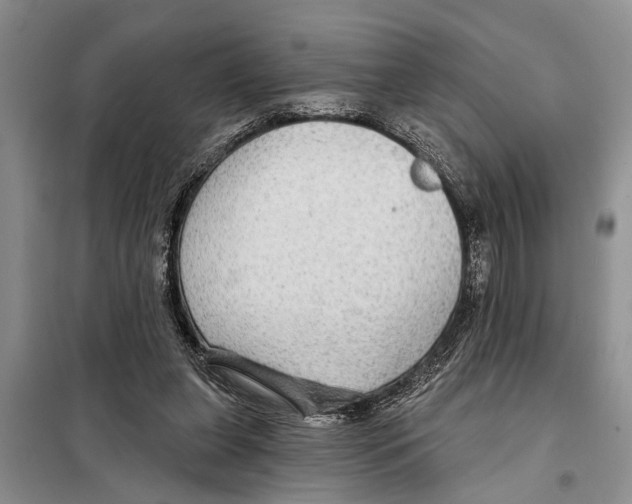 X0000097870255200804110931