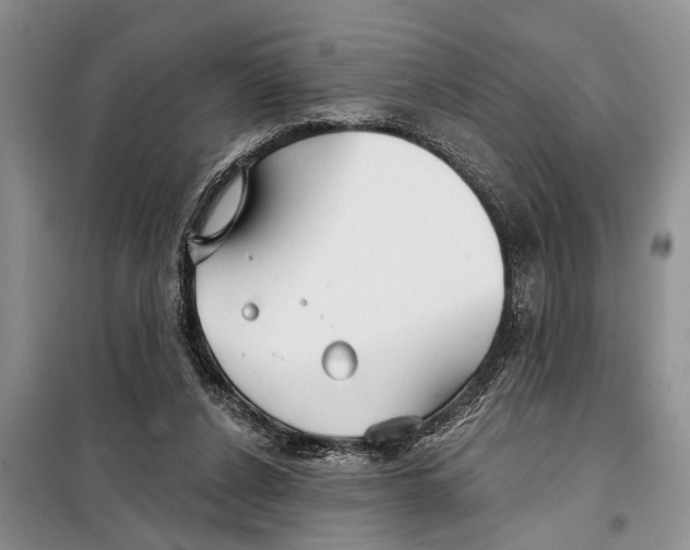 X0000097870256200804110931