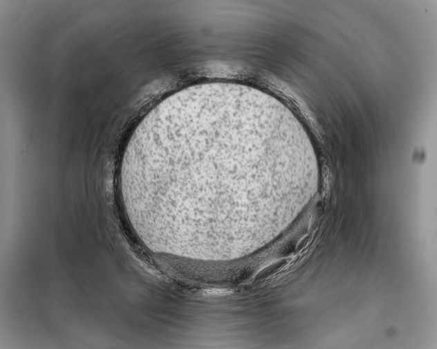 X0000097870257200804110931