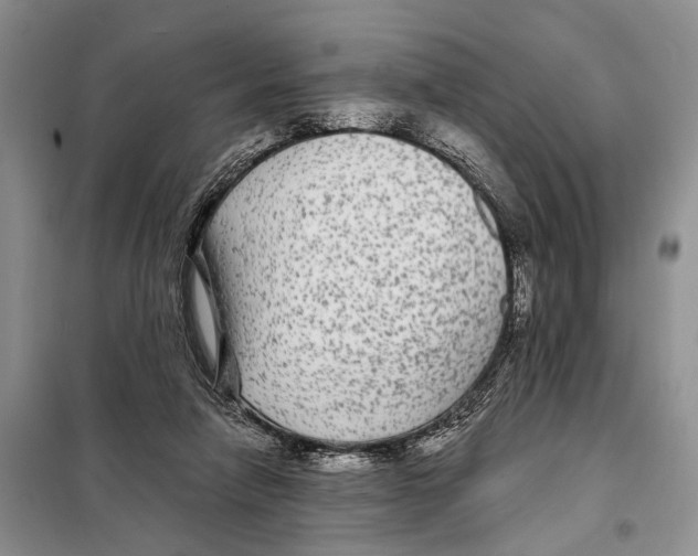 X0000097870258200804110931