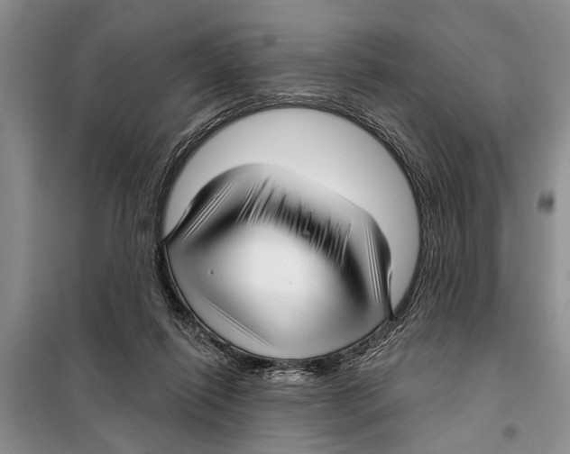 X0000097870262200804110931