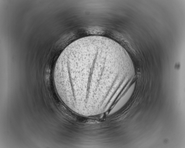 X0000097870263200804110931