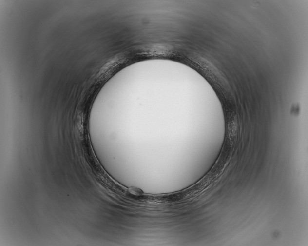 X0000097870264200804110931