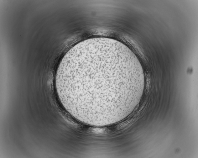 X0000097870265200804110931