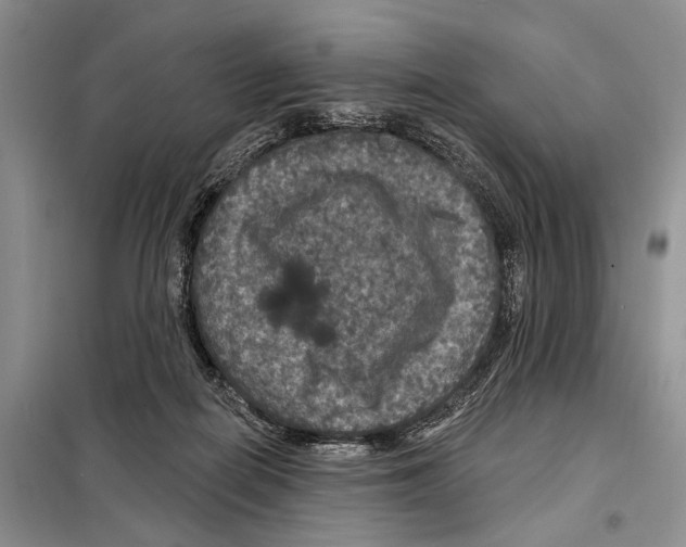 X0000097870266200804110931