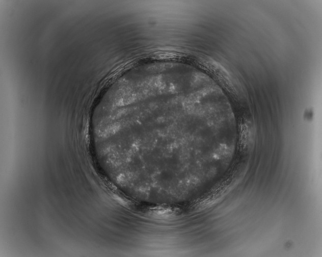 X0000097870267200804110931