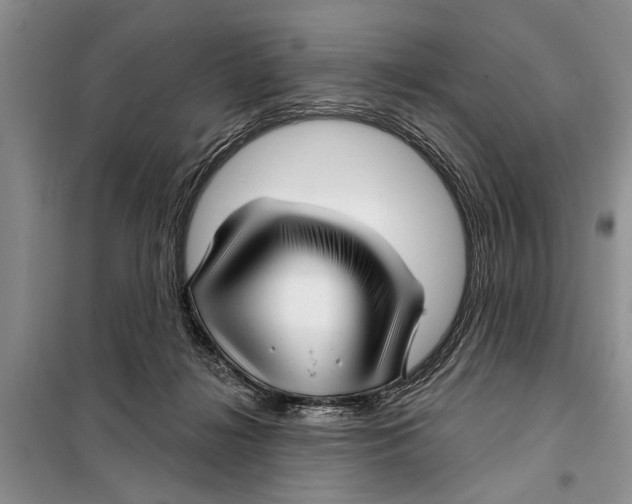 X0000097870268200804110931