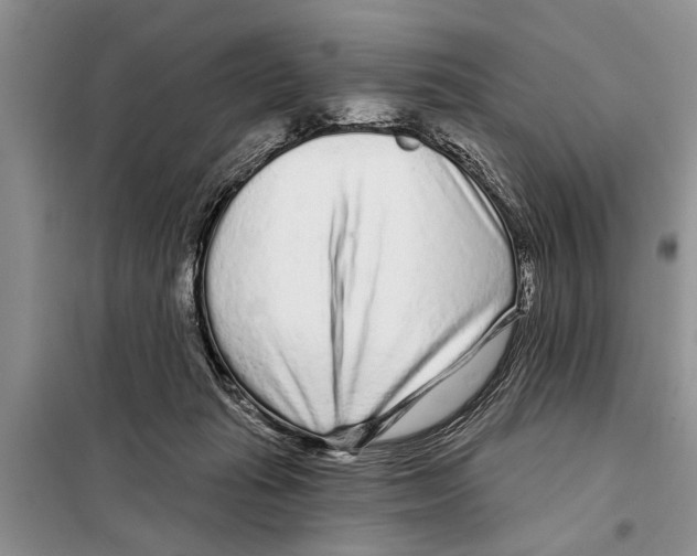 X0000097870269200804110931