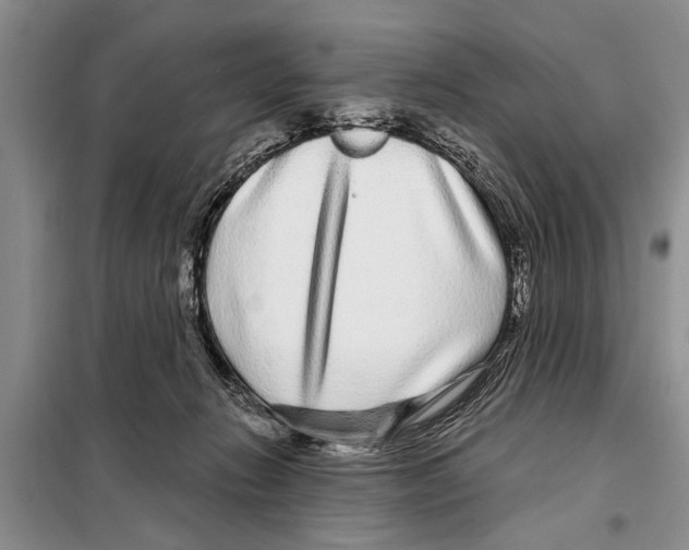 X0000097870270200804110931