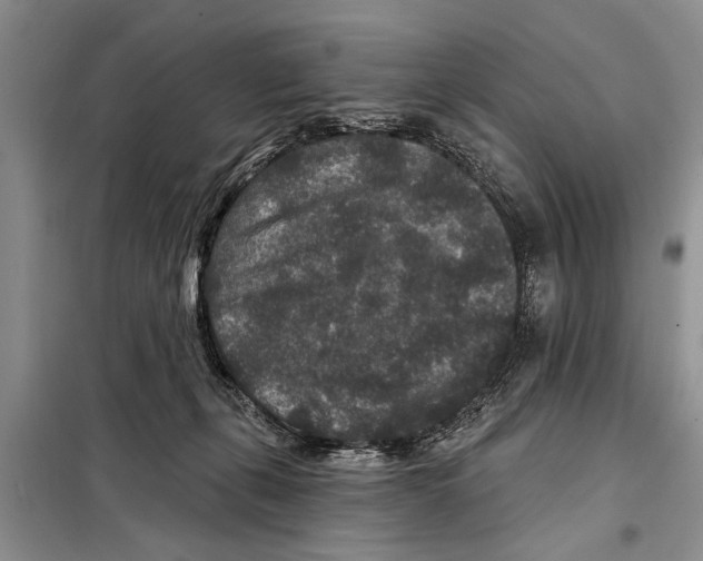 X0000097870271200804110931