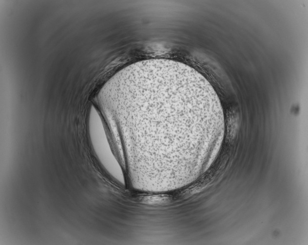 X0000097870274200804110931