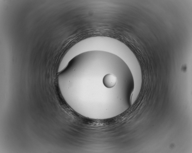 X0000097870276200804110931