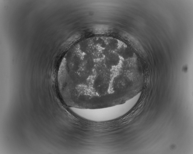 X0000097870277200804110931