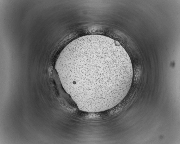 X0000097870278200804110932