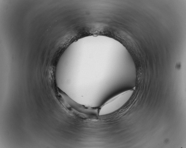 X0000097870280200804110932