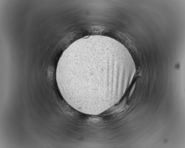 X0000097870283200804110932