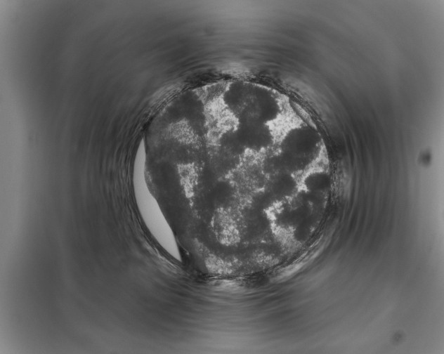 X0000097870285200804110932