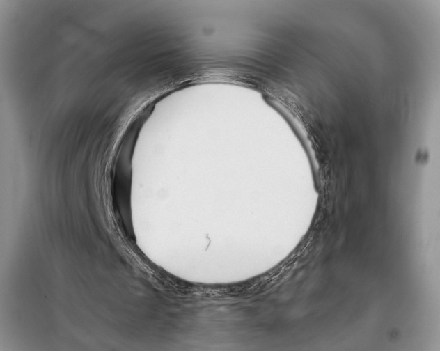 X0000097870289200804110931