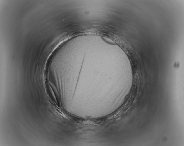 X0000097870290200804110931
