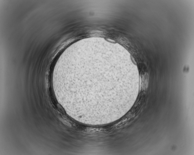 X0000097870291200804110931