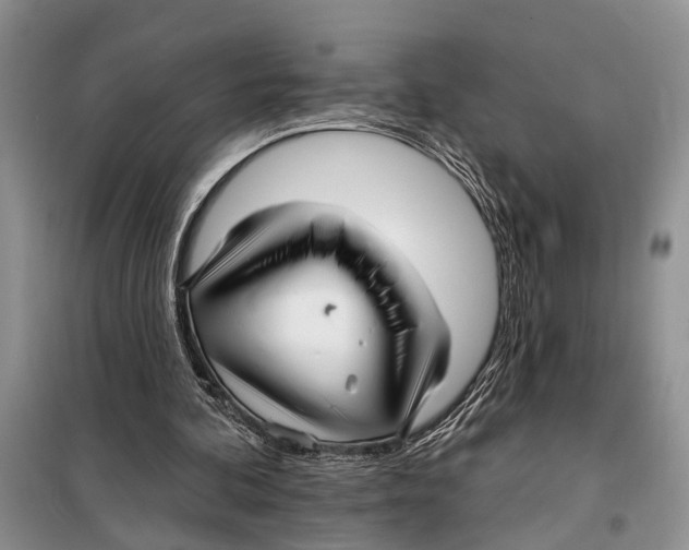 X0000097870292200804110931