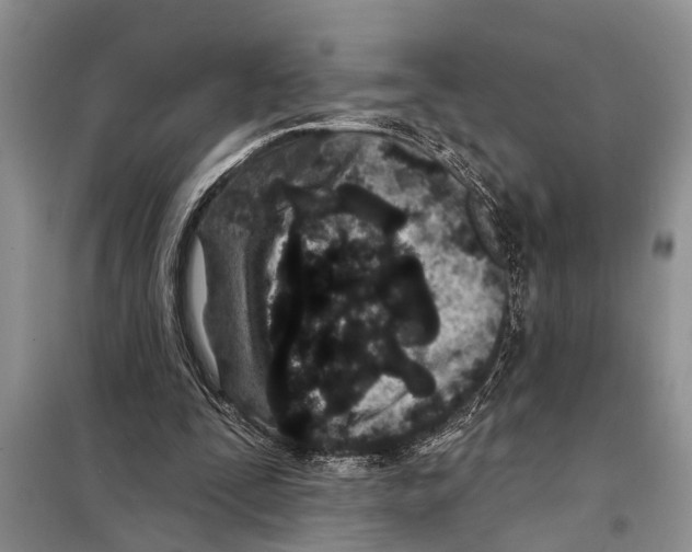 X0000097870295200804110931