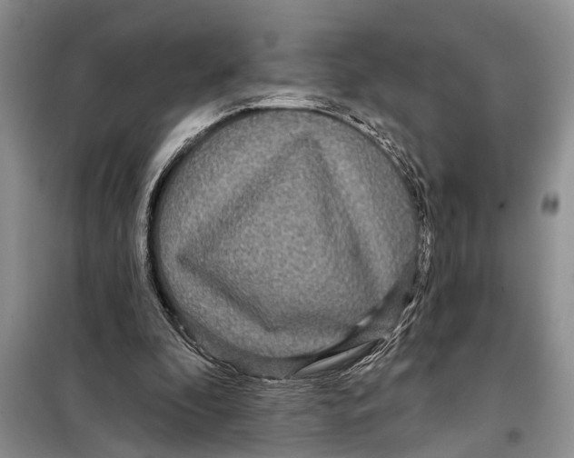 X0000097870296200804110931