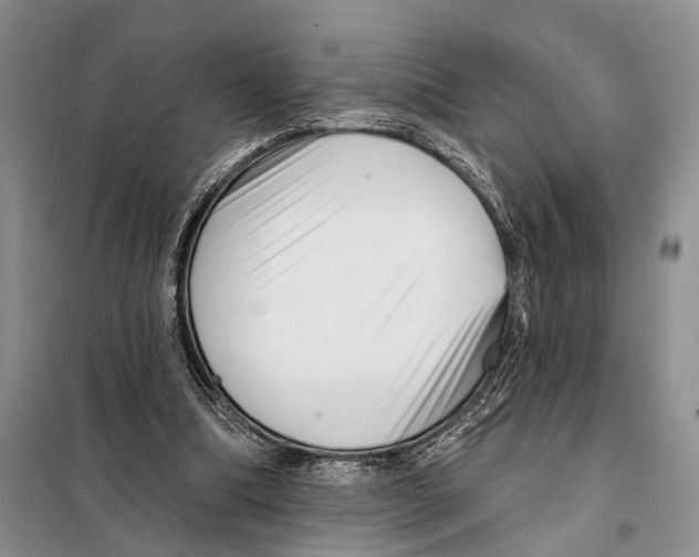 X0000097870298200804110931